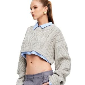 Lioness Knit Crop Sweater